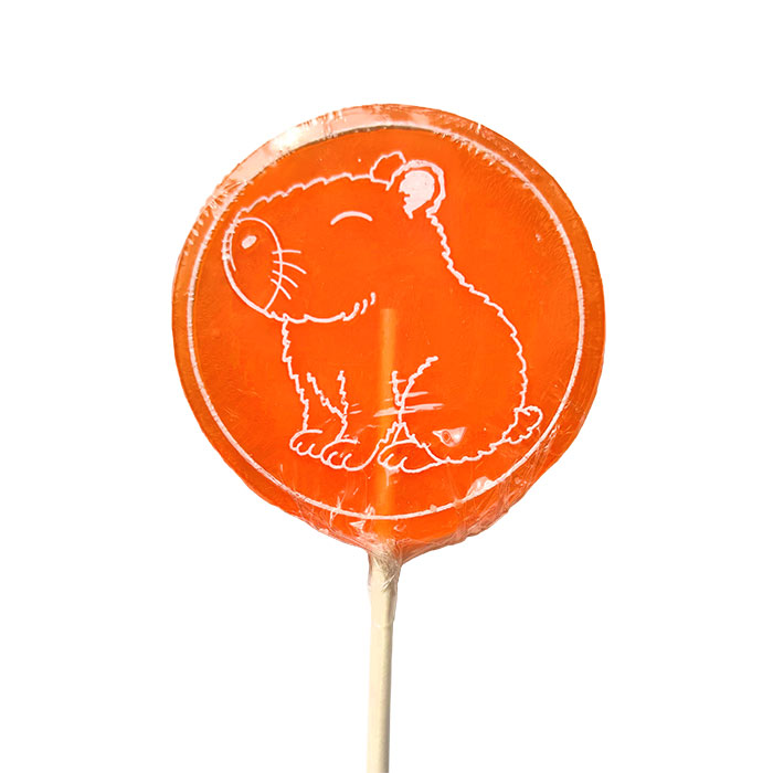 The Natural Candy Shop Capybara Orange flavoured lollipop 60g